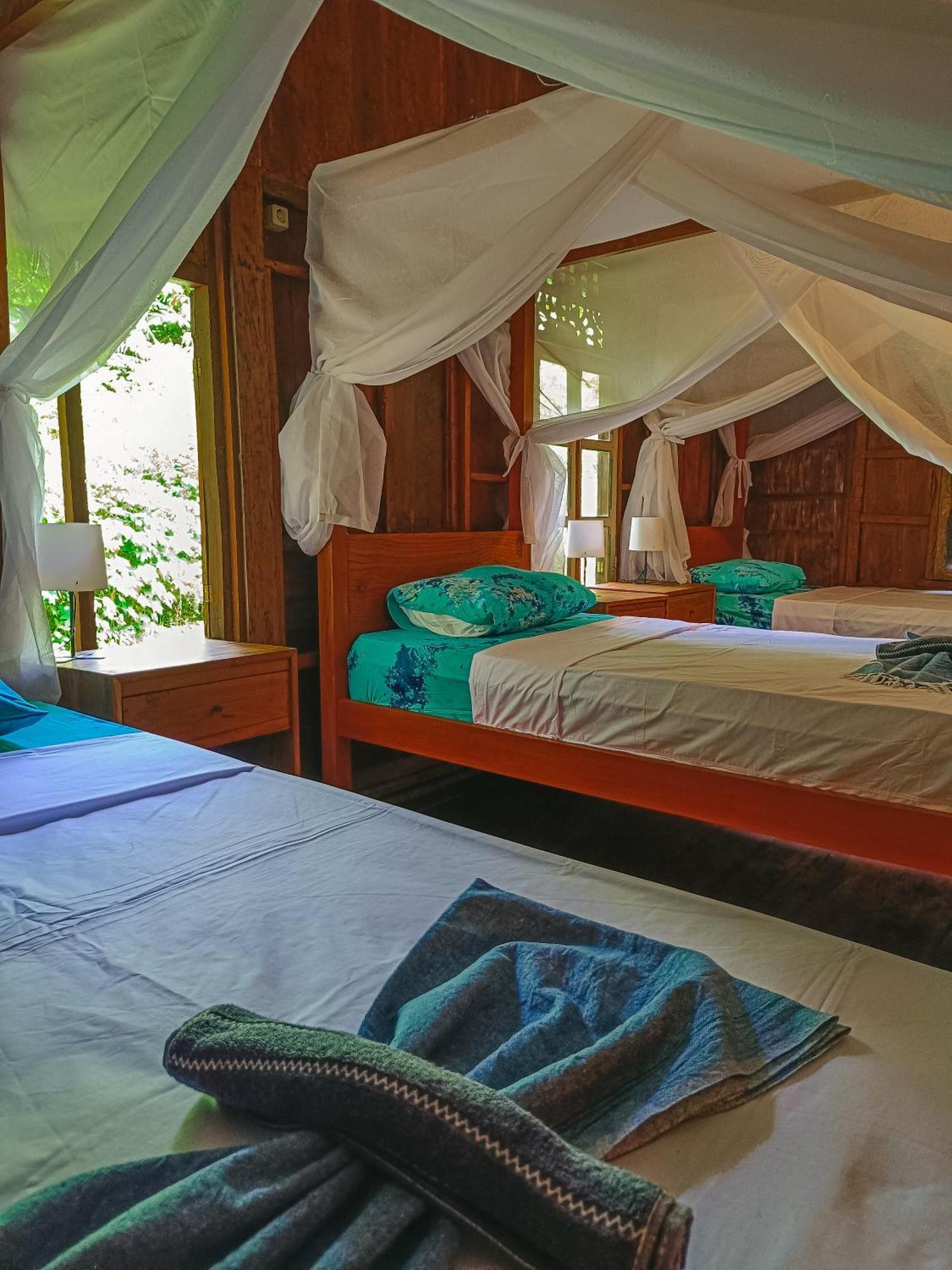 Pemuteran Alaya Ecolodge מראה חיצוני תמונה