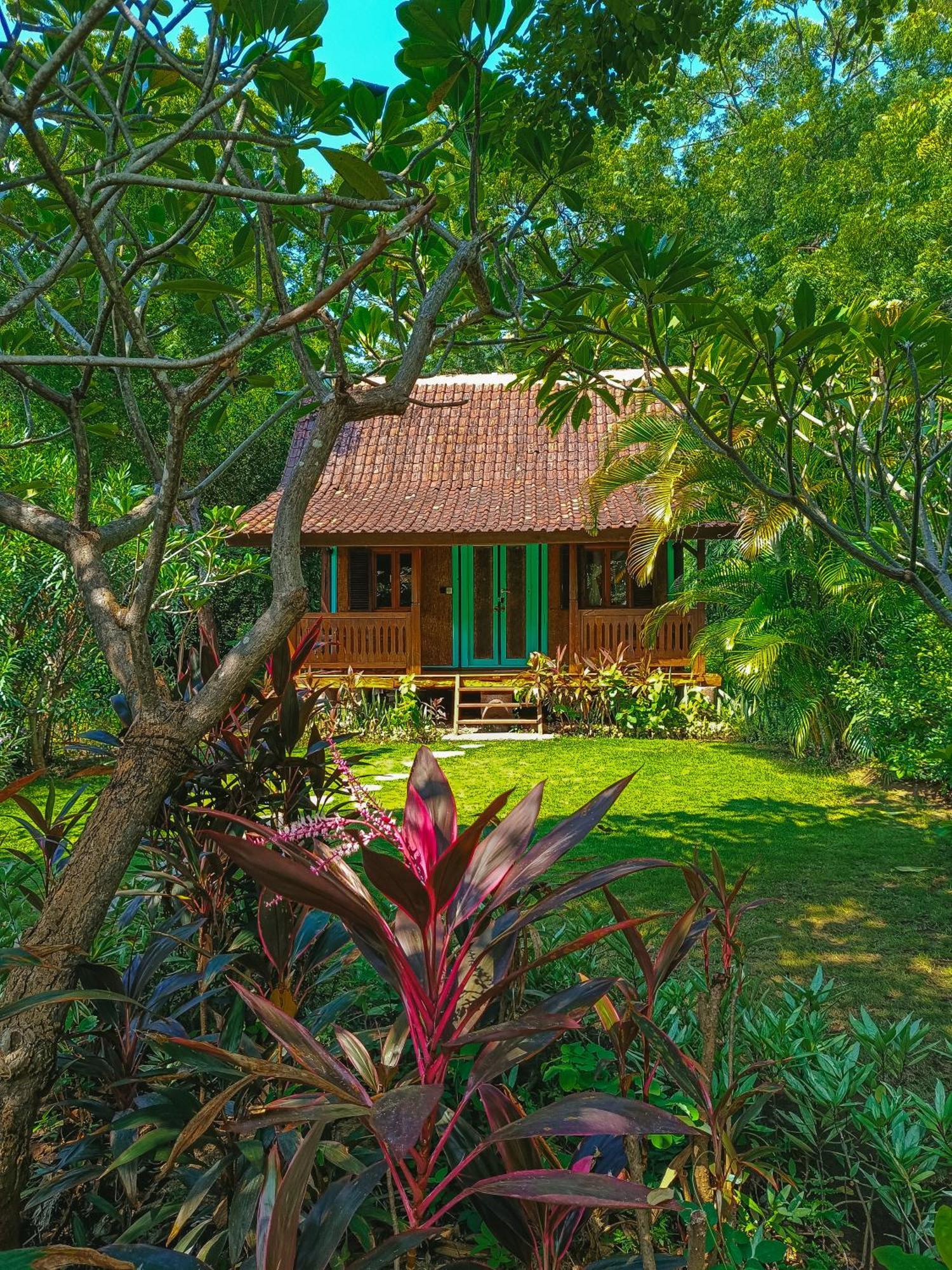 Pemuteran Alaya Ecolodge מראה חיצוני תמונה