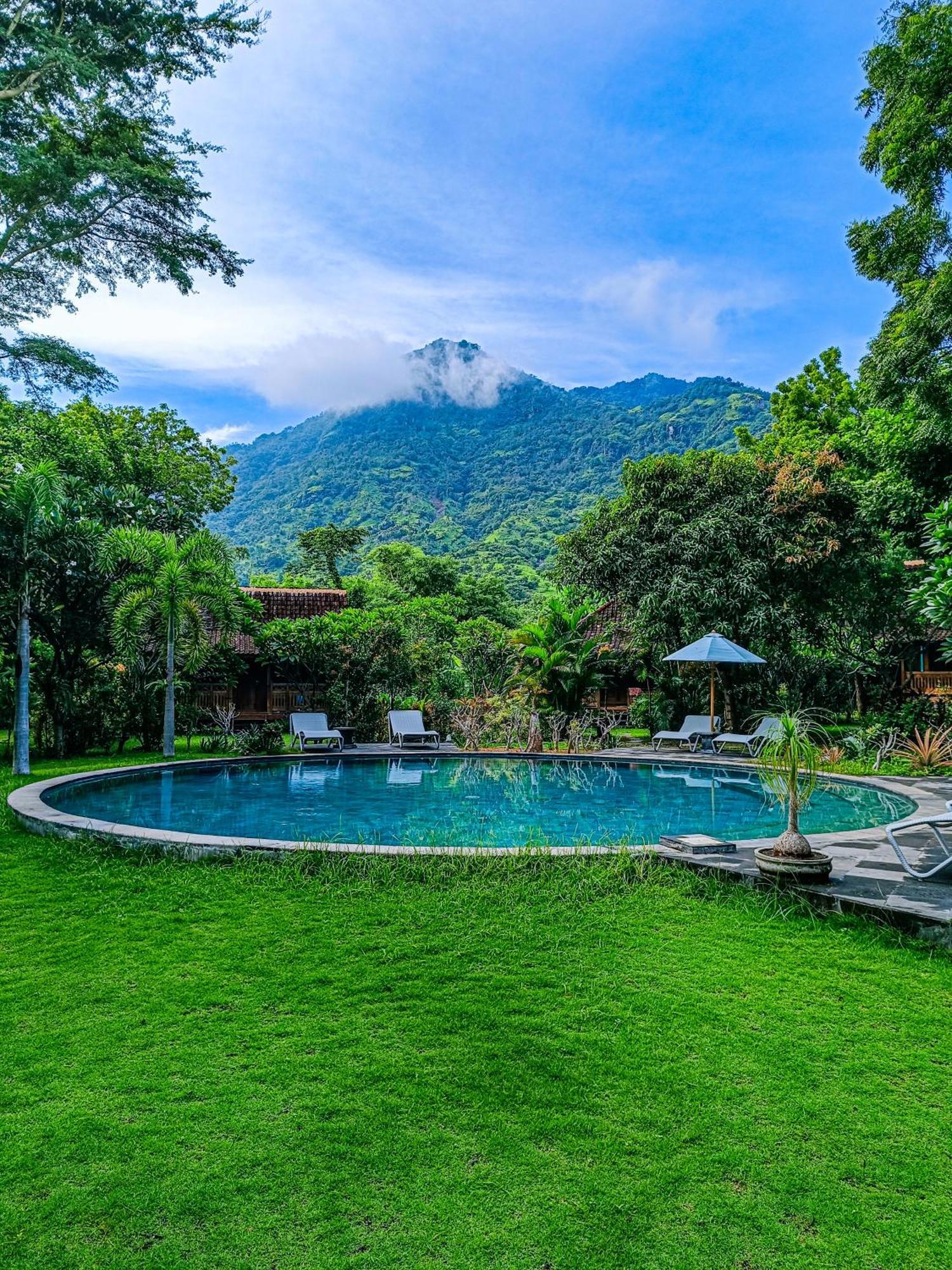 Pemuteran Alaya Ecolodge מראה חיצוני תמונה