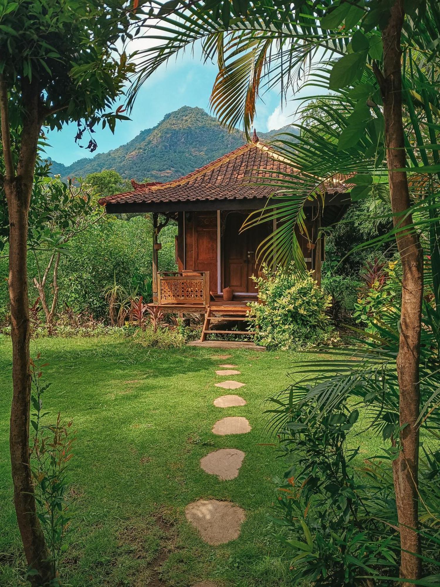 Pemuteran Alaya Ecolodge מראה חיצוני תמונה