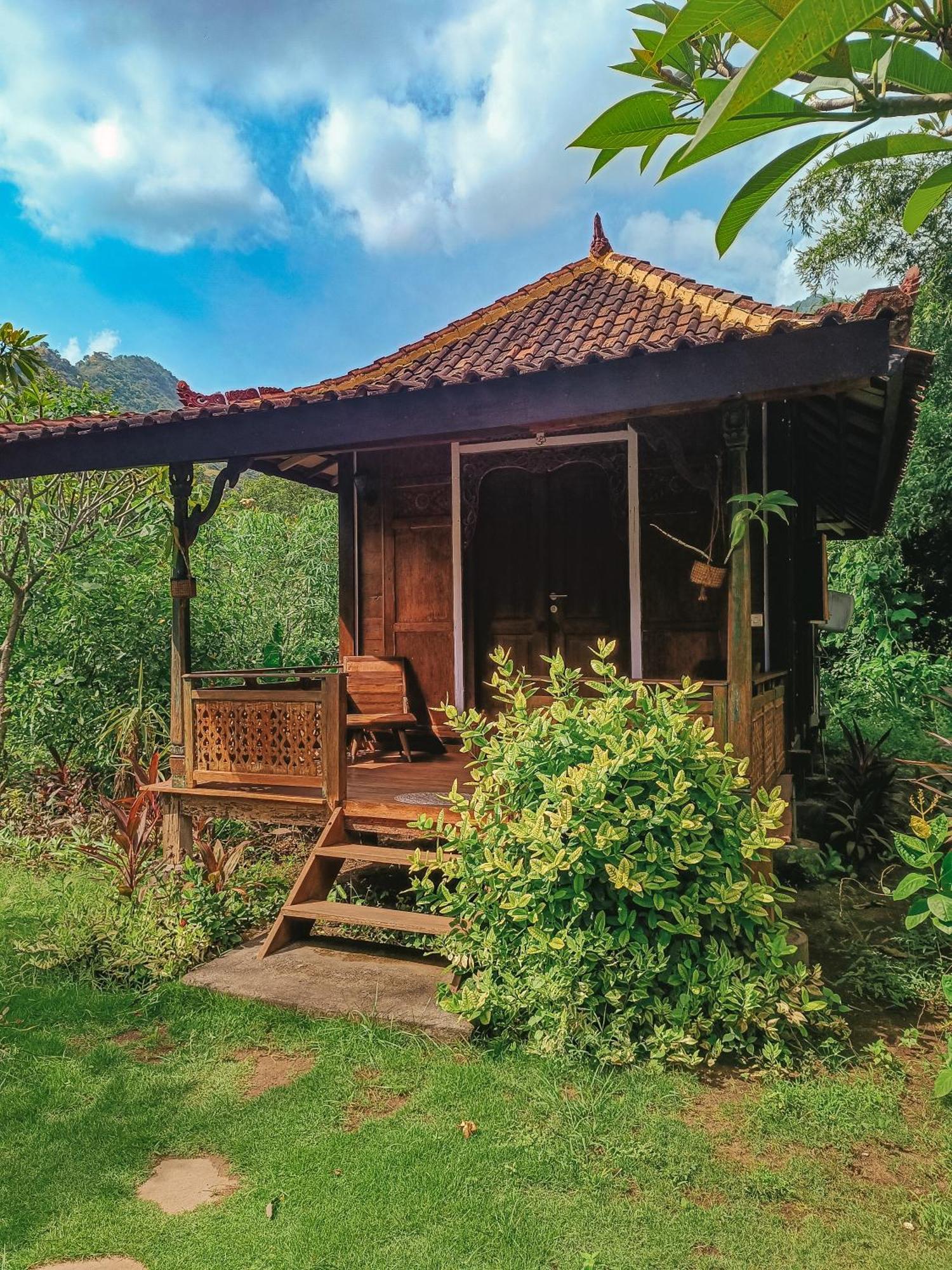 Pemuteran Alaya Ecolodge מראה חיצוני תמונה
