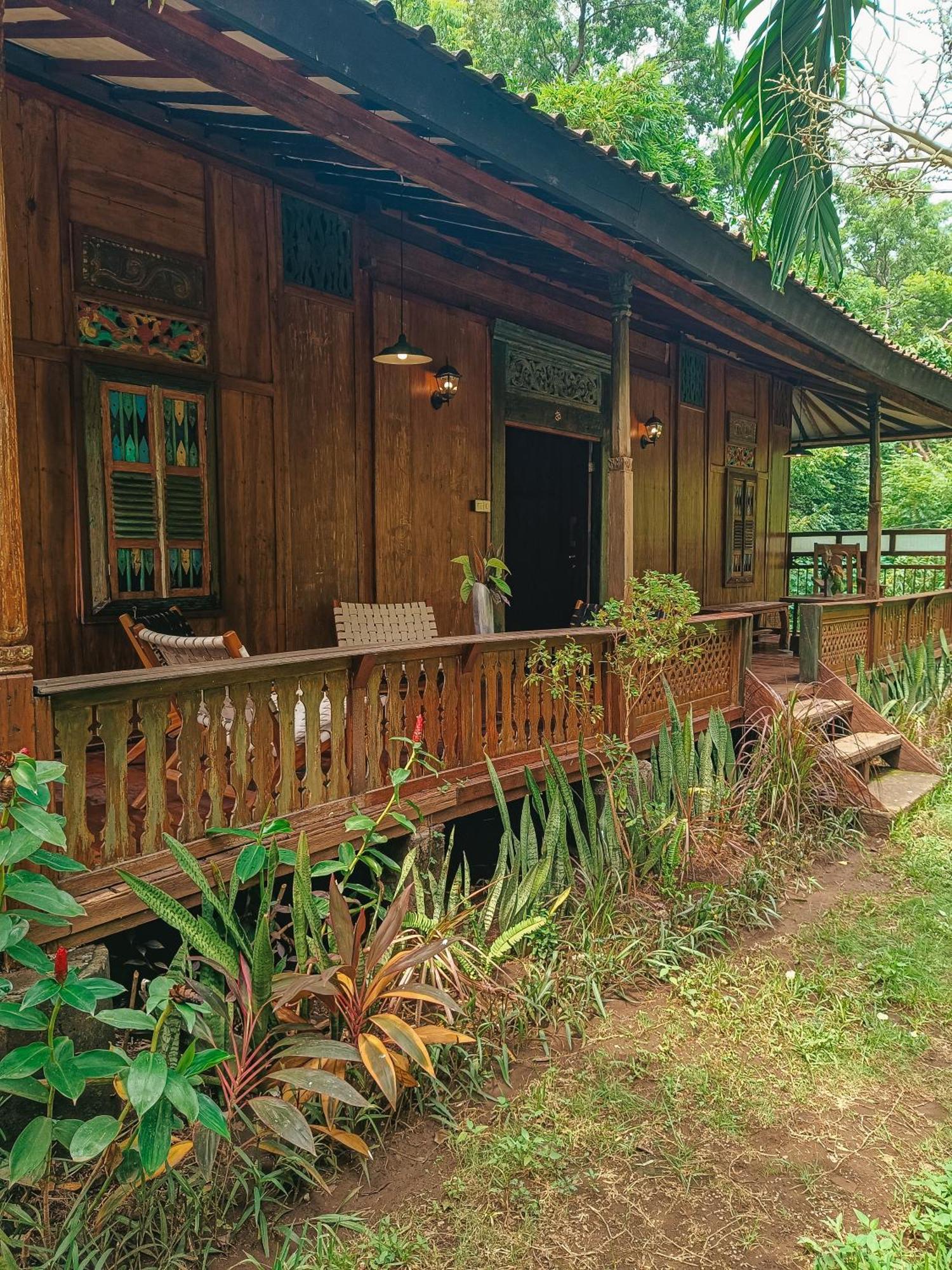 Pemuteran Alaya Ecolodge מראה חיצוני תמונה