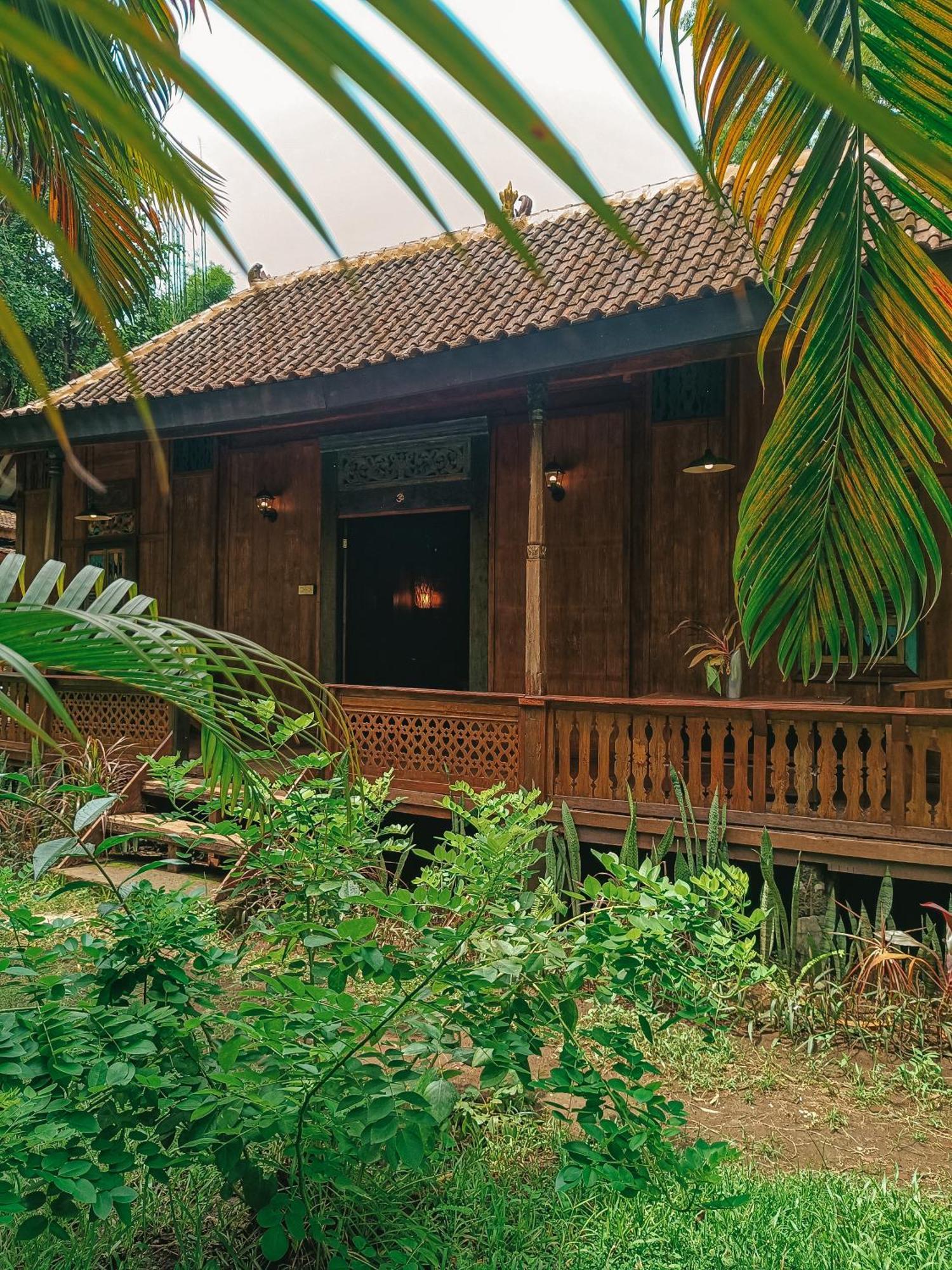 Pemuteran Alaya Ecolodge מראה חיצוני תמונה