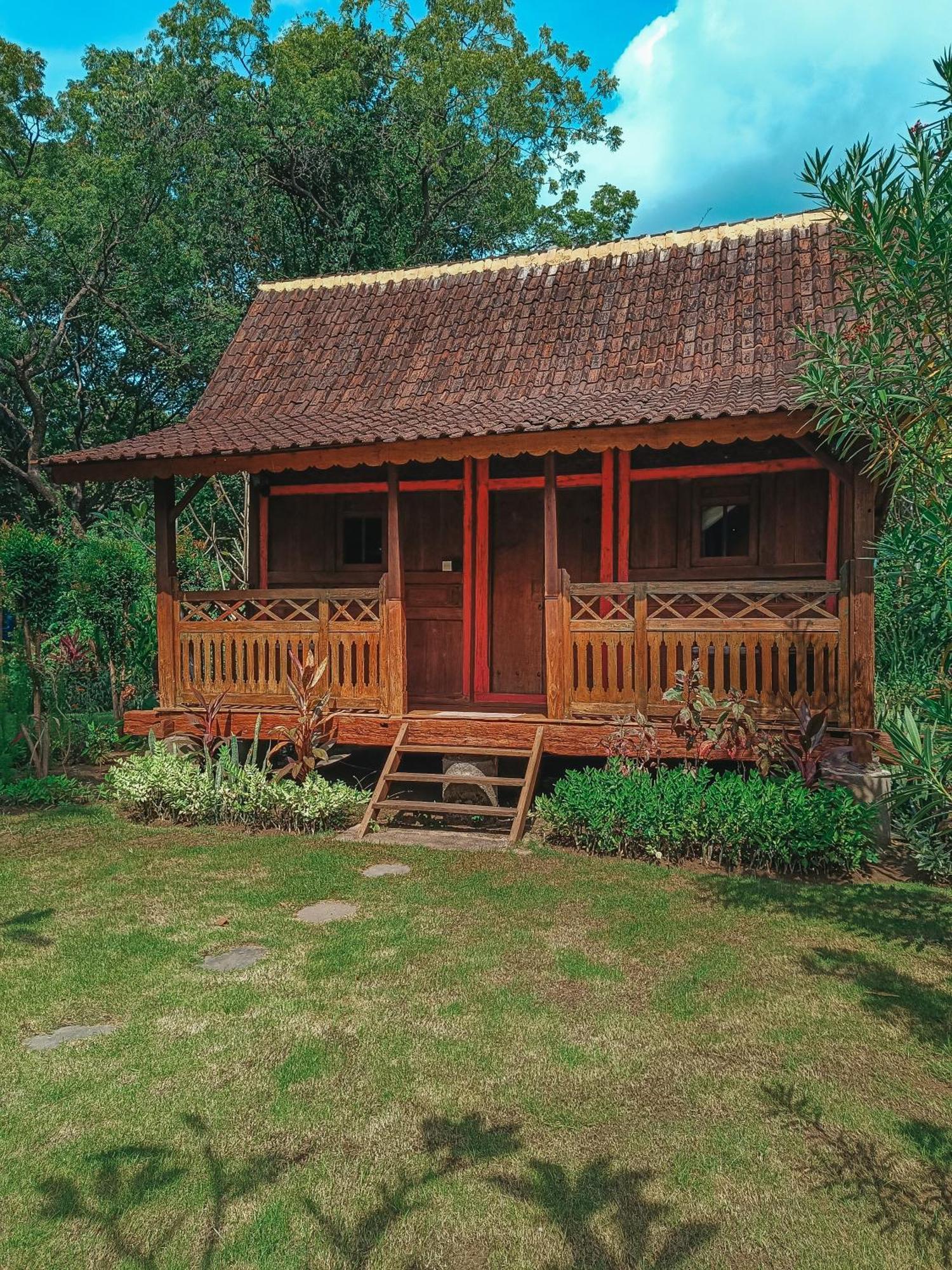 Pemuteran Alaya Ecolodge מראה חיצוני תמונה